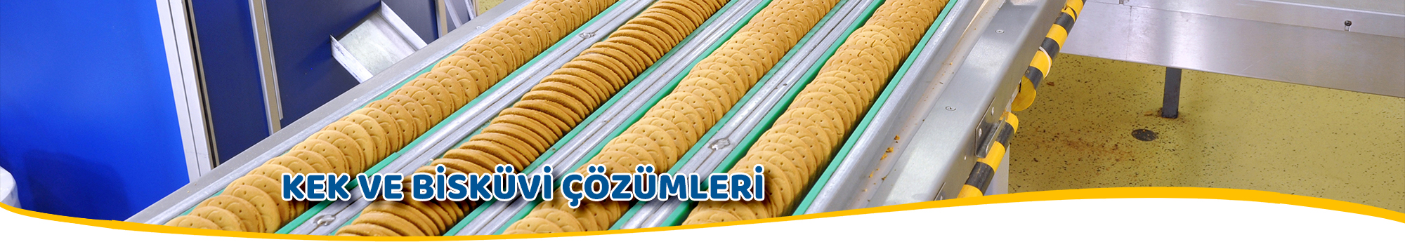 Kek ve Biskvi zmleri