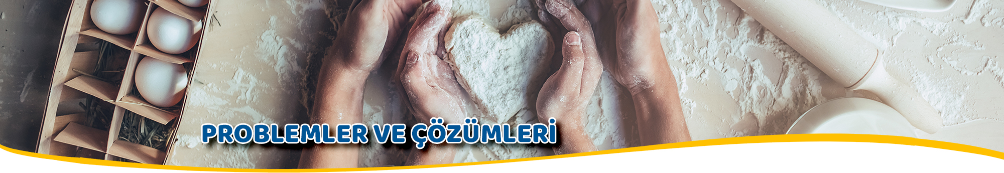 Problemler ve zmler